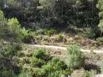 CIMG0088 (Large).JPG