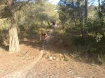 DSC01101.jpg
