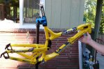 951_yellow.jpg