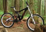 Norco+Team+DH+2010_0.jpg