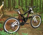 Norco+Team+DH+2010_1.jpg