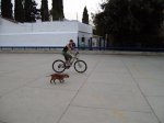 bici3.jpg
