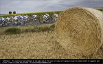 tdf09st10-hay[1].jpg