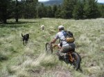 handcycling 09 405.jpg