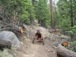 handcycling 09 499.jpg