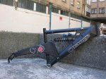 IMG_0355.jpg