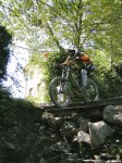 DSCN5398.jpg
