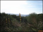 P7160008 (Copiar).jpg