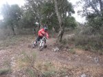 IMG_0014.jpg