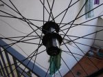 DSC02976.jpg