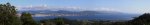 Panorama 1.jpg