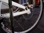 DSC01545.jpg