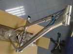 m_08072009296.jpg