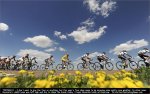 tdf09st12-blue[1].jpg