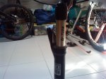 DSC00161.jpg