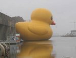 giantduck1zu2.jpg