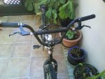 DSC00208.jpg