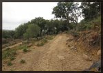 Otras trialeras 2.jpg