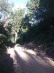 santa lucia (6).jpg