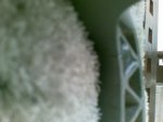Imagen080.jpg