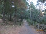 Imagen 002.jpg
