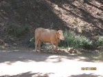 Imagen 016.jpg