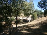 Foto5.JPG