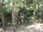 Foto9.JPG