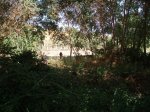 P7180090.jpg