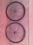 IMAG0032.jpg