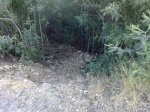NUEVO DH 20.jpg