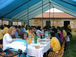 Carpa (7).jpg