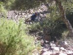 salida 15-07-09 012 [Desktop Resolution].jpg