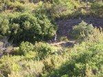 salida 15-07-09 017 [Desktop Resolution].jpg