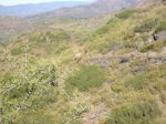 salida 15-07-09 019 [Desktop Resolution].jpg
