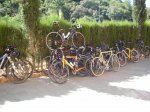 salida 15-07-09 035 [Desktop Resolution].jpg
