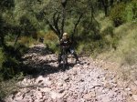 salida 15-07-09 041 [Desktop Resolution].jpg