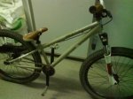 DSC00566.JPG