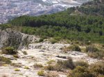 Imagen 039.jpg
