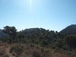 DSCF4649.JPG