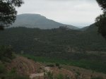 IMG_8808.jpg