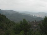 IMG_8806.jpg