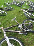 trek-2010-31.jpg