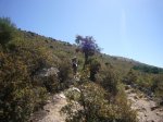 Foto14.JPG
