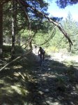 DSC00597.jpg