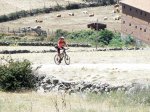 cecibicitribarracogrande.jpg
