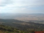 DSC00561.jpg