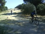 DSC00264.jpg