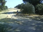 DSC00265.jpg