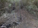 NUEVO DH 33.jpg